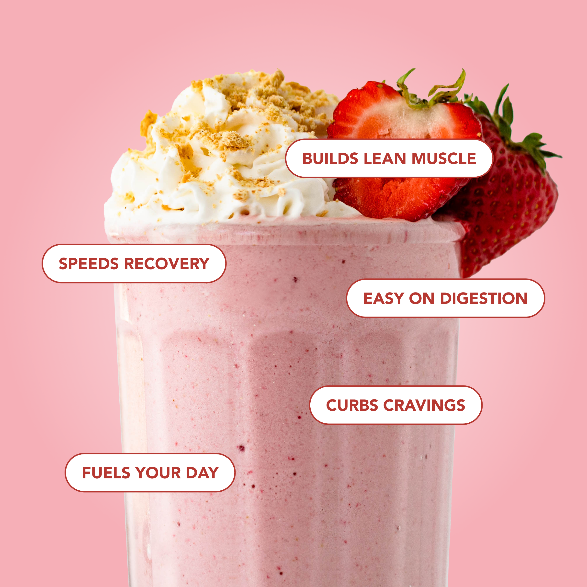 cleansimpleeats Protein Powder: Strawberry Cheesecake (10 Single Serving Stick Packs)