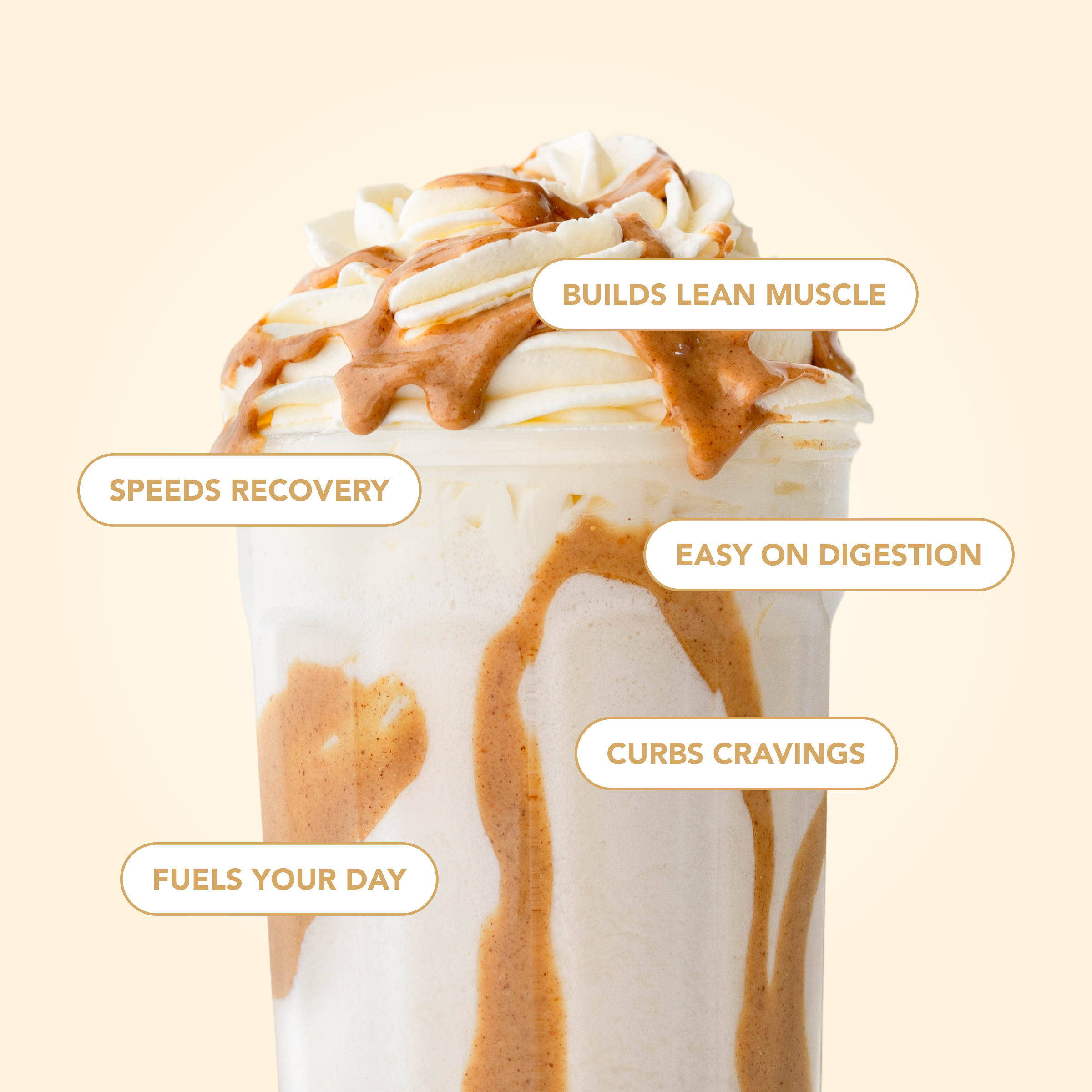 cleansimpleeats Best-Seller Variety Pack