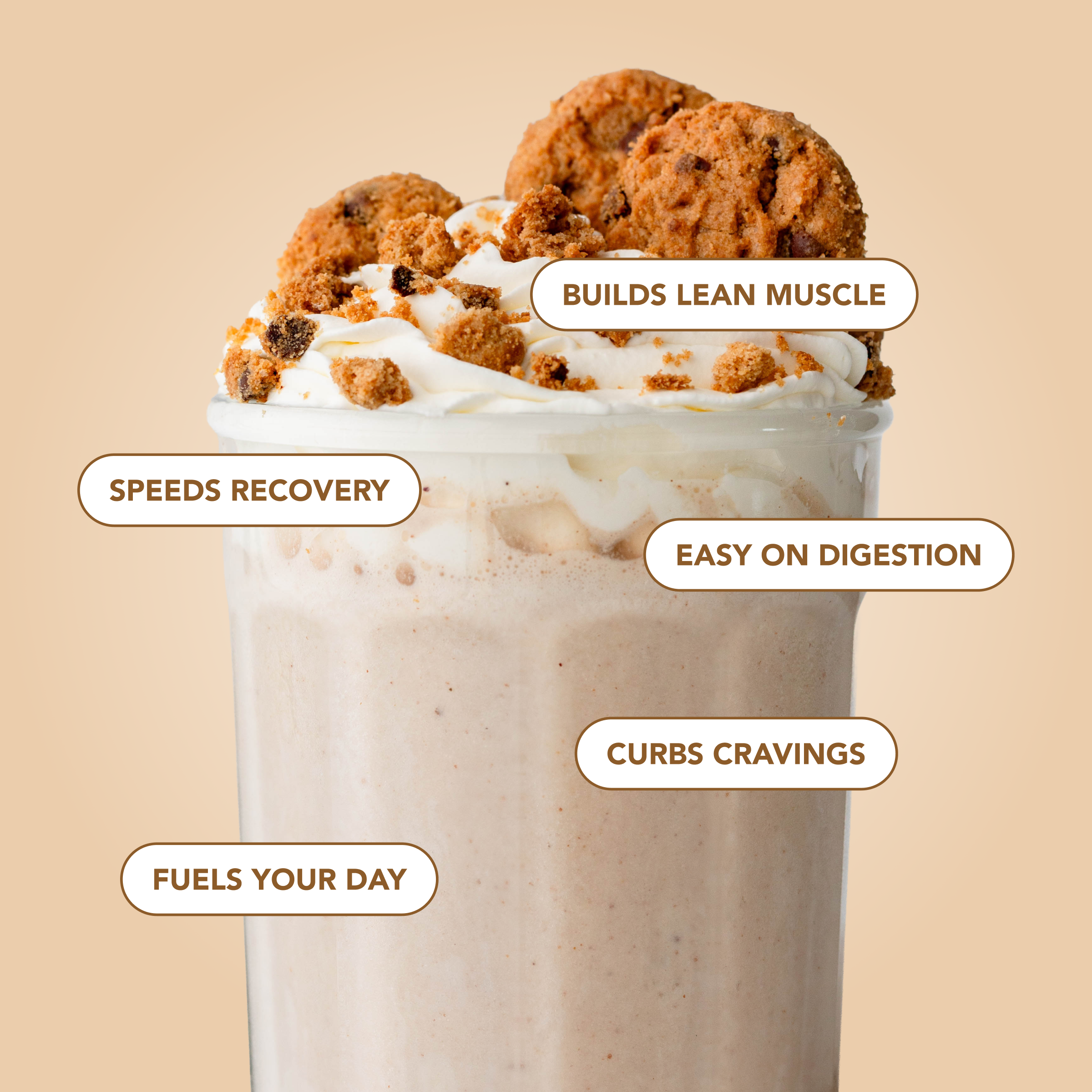 cleansimpleeats Protein Powder: Cookie Dough (12 Serving Bag)