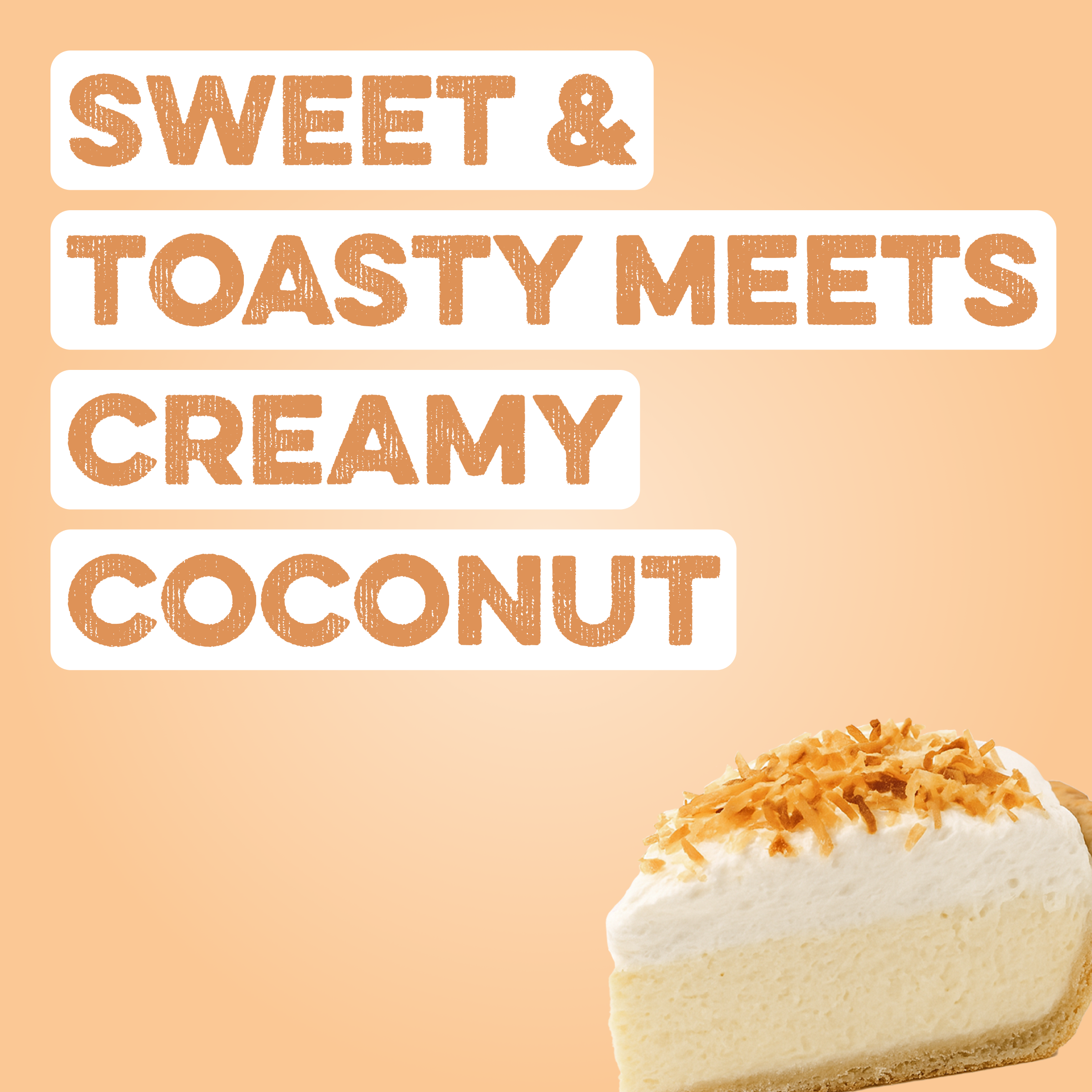 cleansimpleeats Protein Powder: Coconut Cream (20 Serving Bag)
