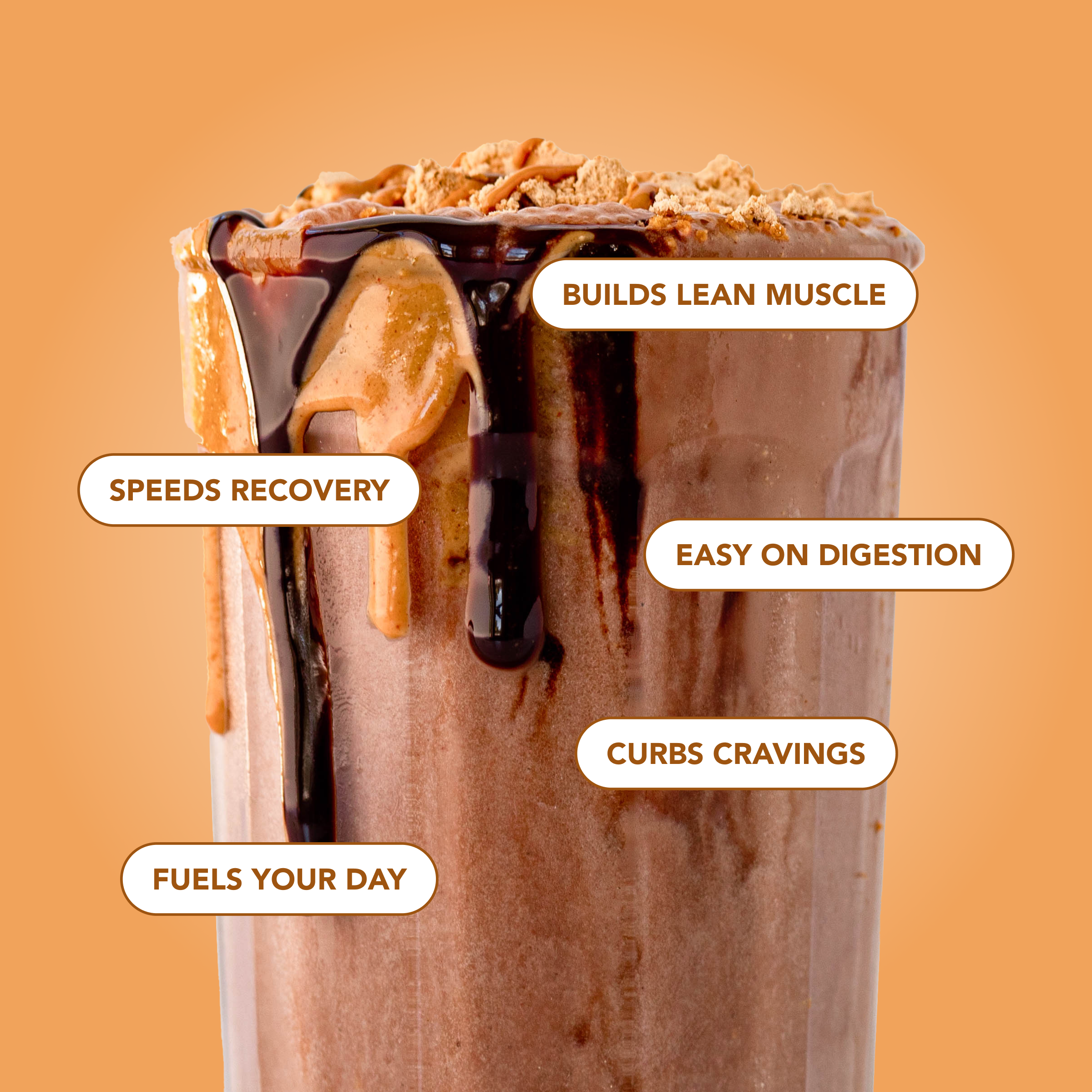 cleansimpleeats Protein Powder: Chocolate Peanut Butter (20 Serving Bag)