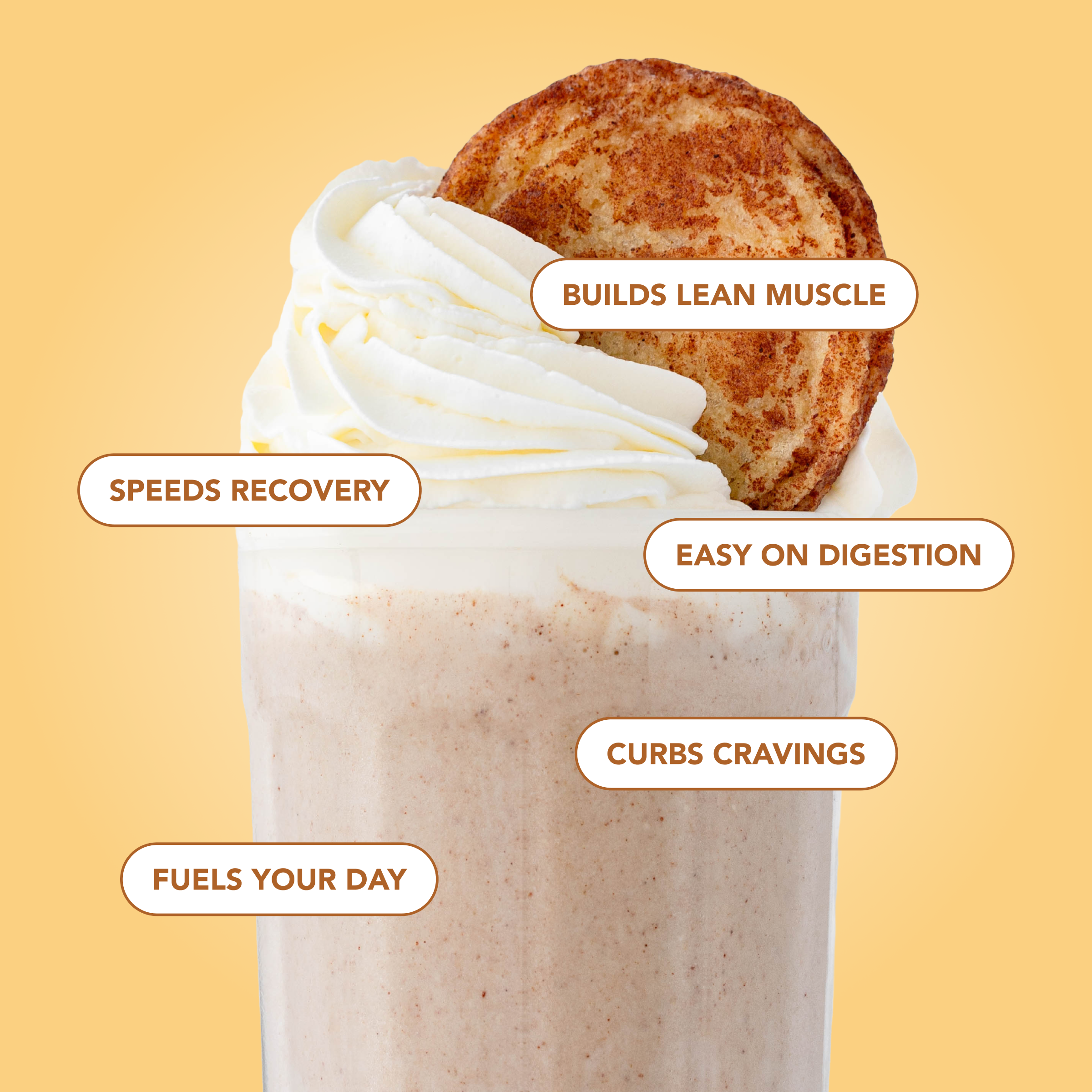 cleansimpleeats Protein Powder: Snickerdoodle (20 Serving Bag)