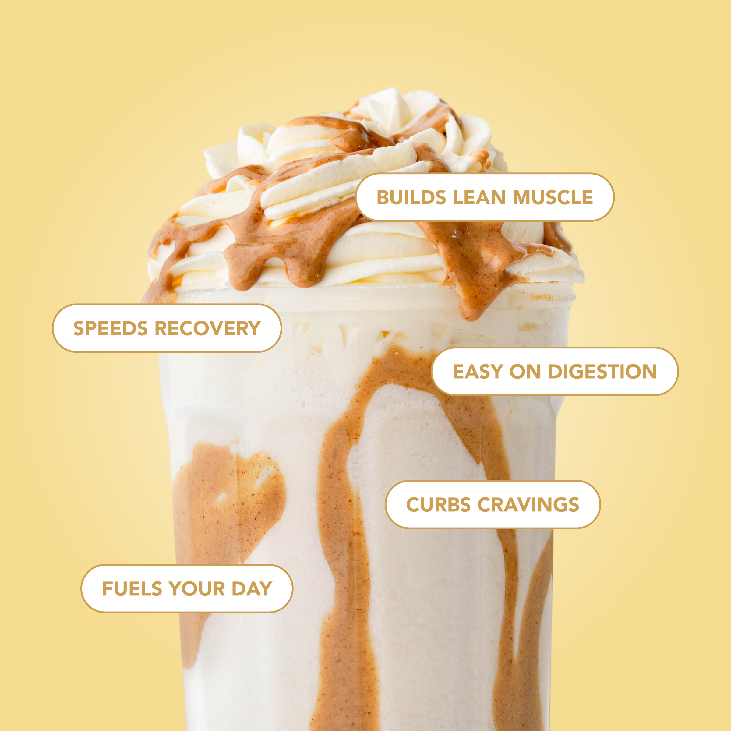 cleansimpleeats Protein Powder: Simply Vanilla (20 Serving Bag)