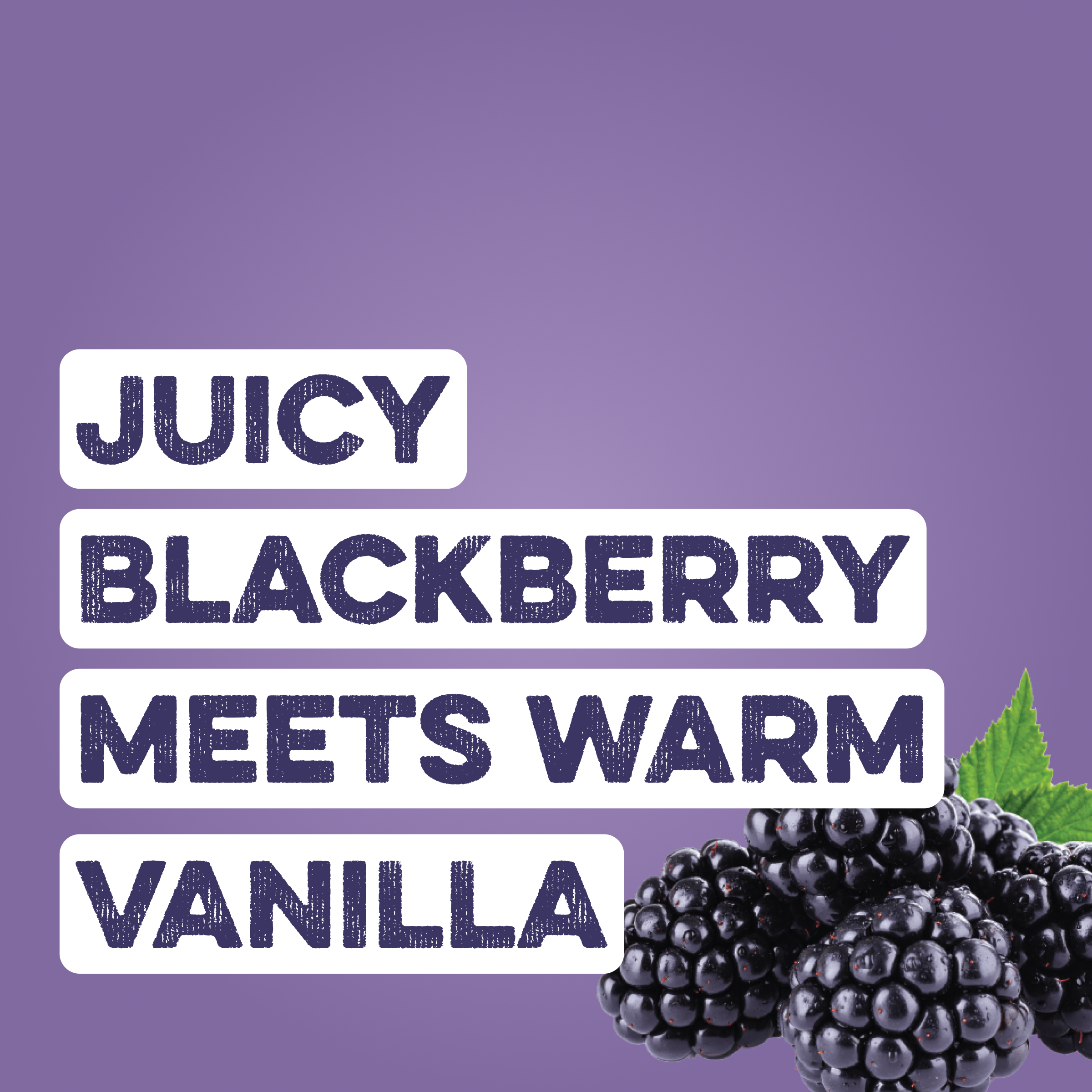 cleansimpleeats Clear Protein Water: Blackberry Vanilla (16 Oz. | 12 Pack)