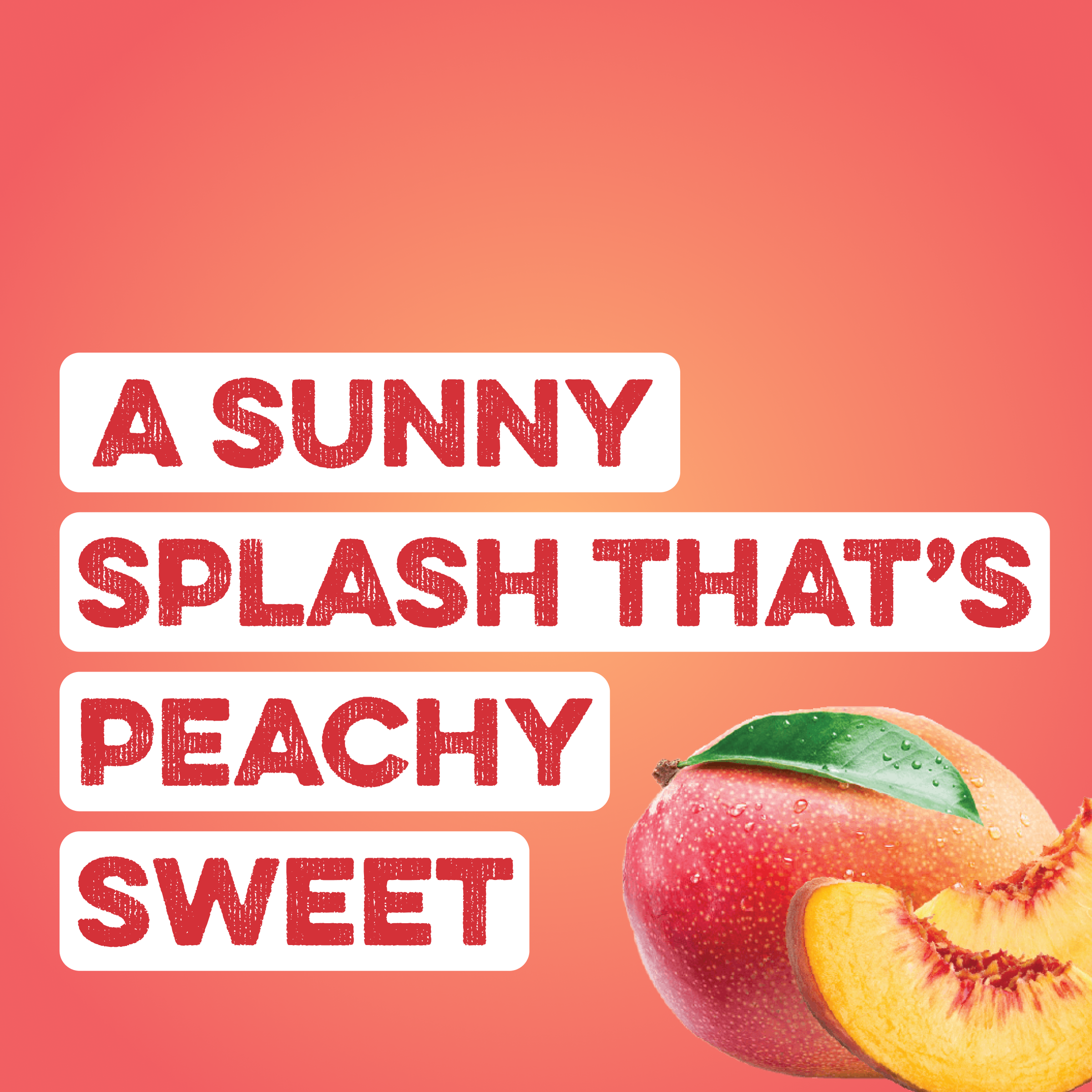 cleansimpleeats Clear Protein Water: Peach Mango Creme (16 Oz. | 12 Pack)