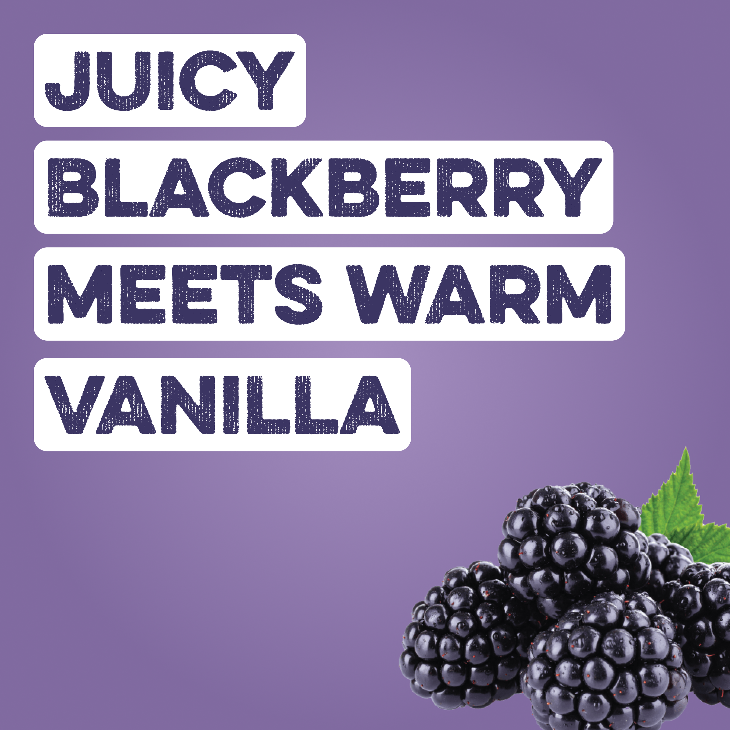 cleansimpleeats Clear Protein Water: Blackberry Vanilla (12 Oz. | 12 Pack)