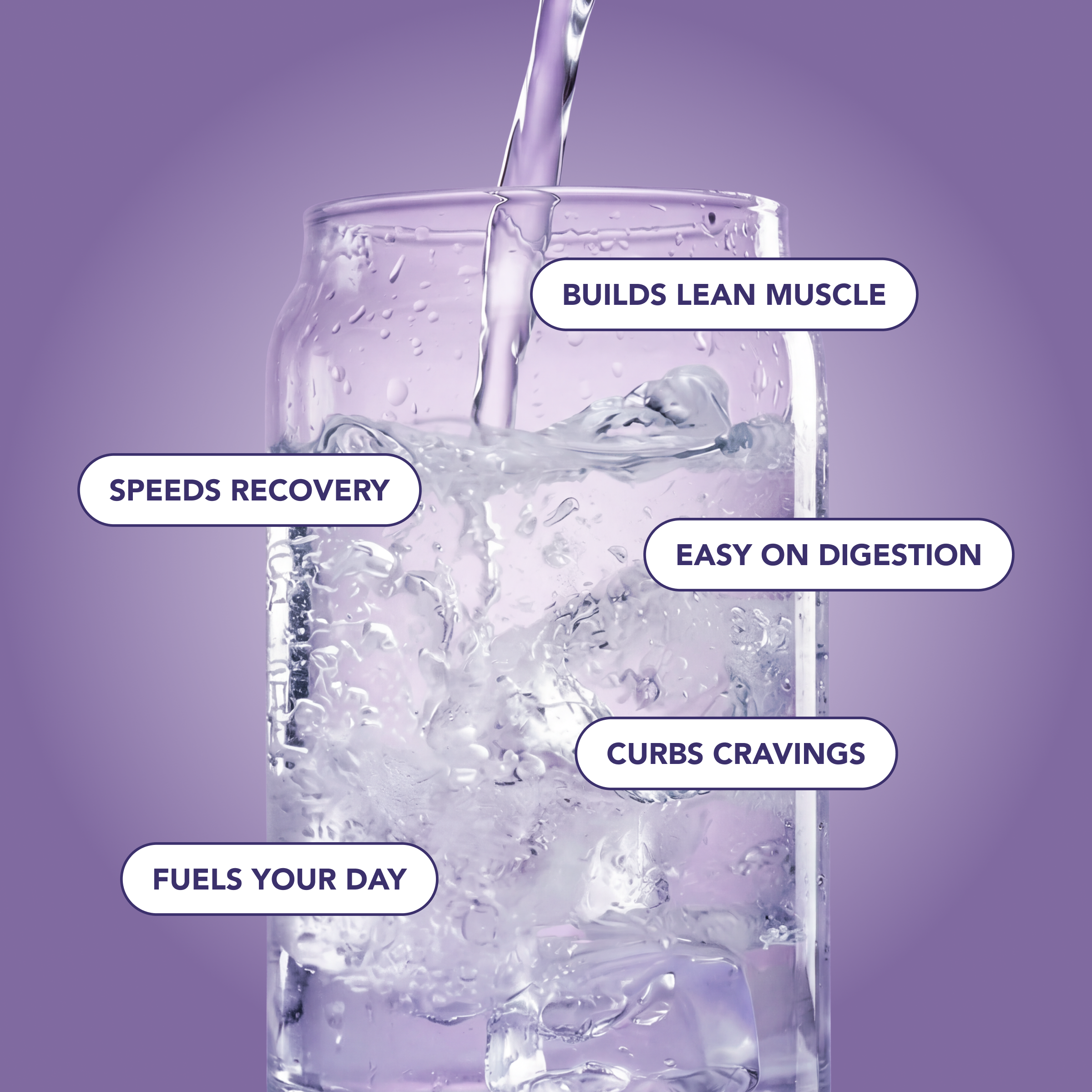 cleansimpleeats Clear Protein Water: Blackberry Vanilla (12 Oz. | 12 Pack)