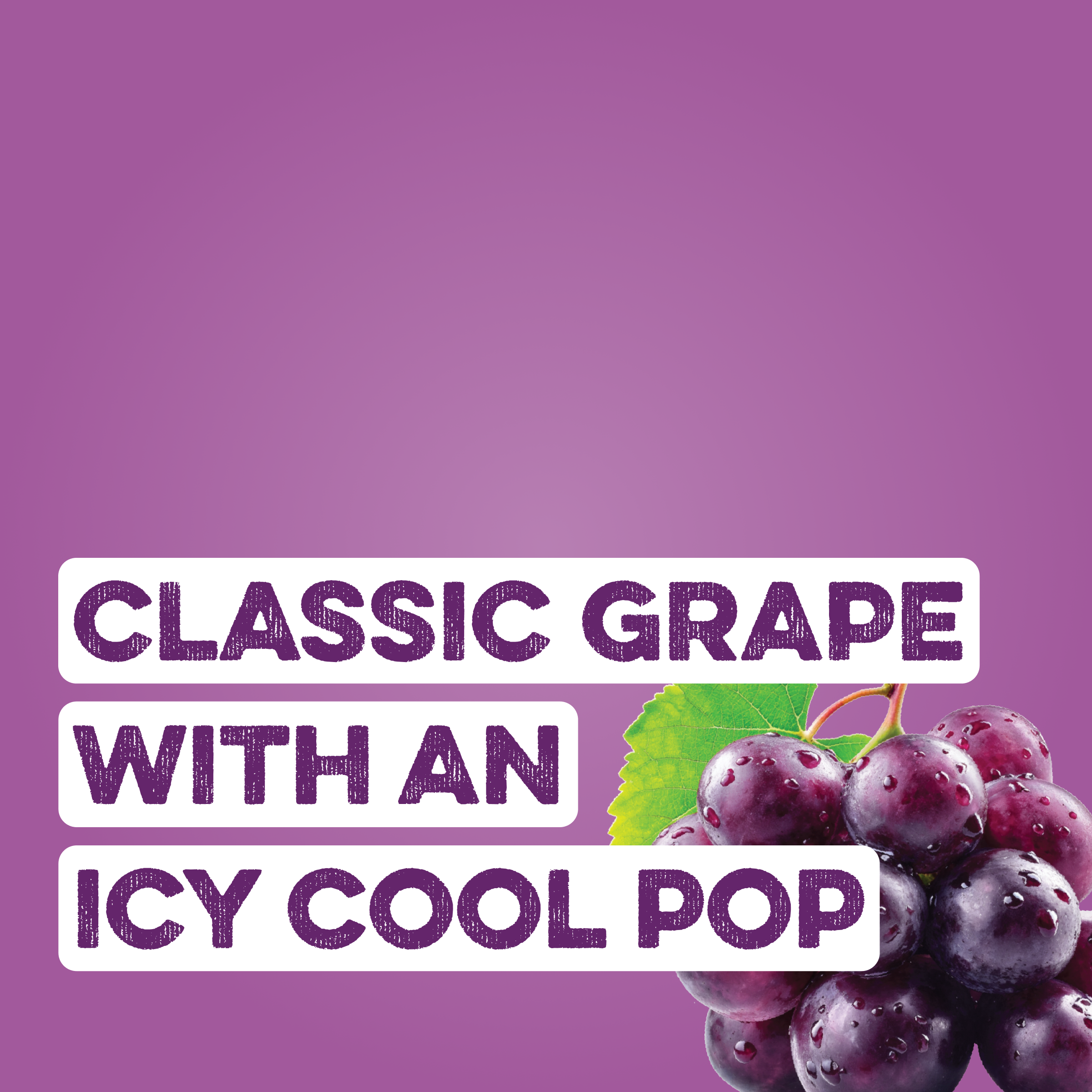 cleansimpleeats Clear Protein Soda: Classic Grape (16 Oz. | 12 Pack)