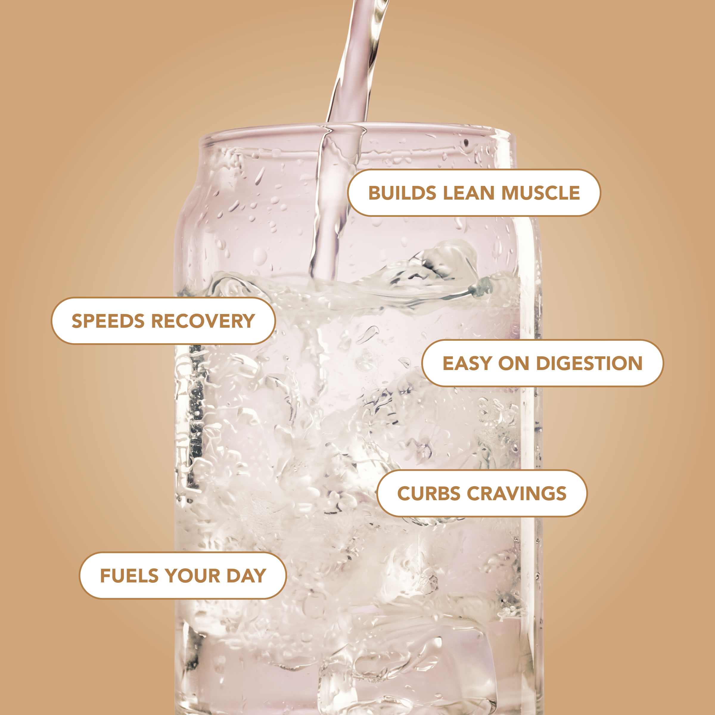 cleansimpleeats Clear Protein Water: Coconut Créme (12 Oz. | 12 Pack)