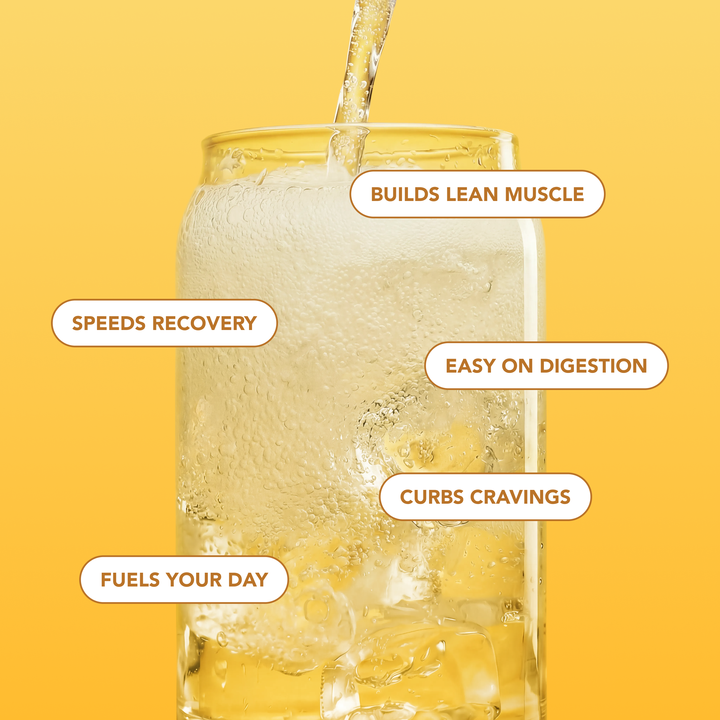 cleansimpleeats Clear Protein Soda: Frosted Lemonade (12 Oz. | 12 Pack)