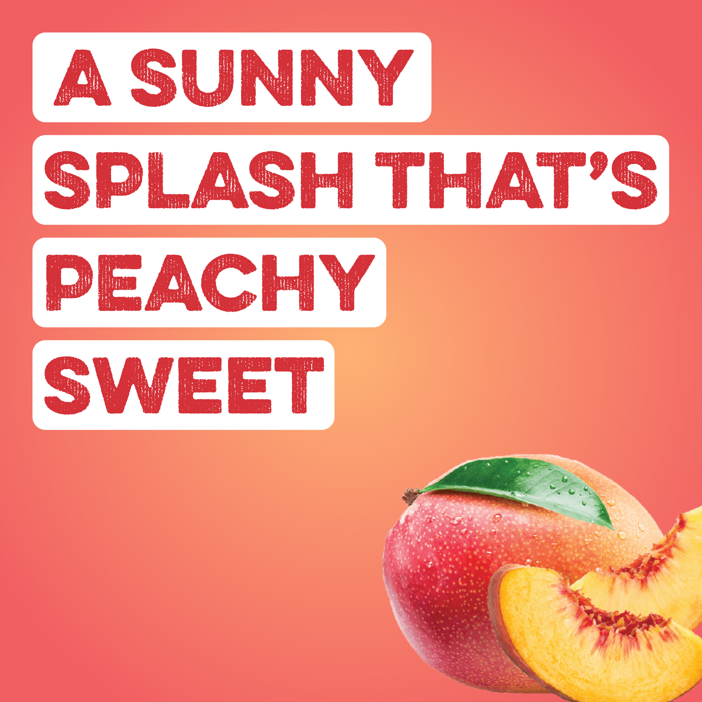 cleansimpleeats Clear Protein Water: Peach Mango Créme (12 Oz. | 12 Pack)