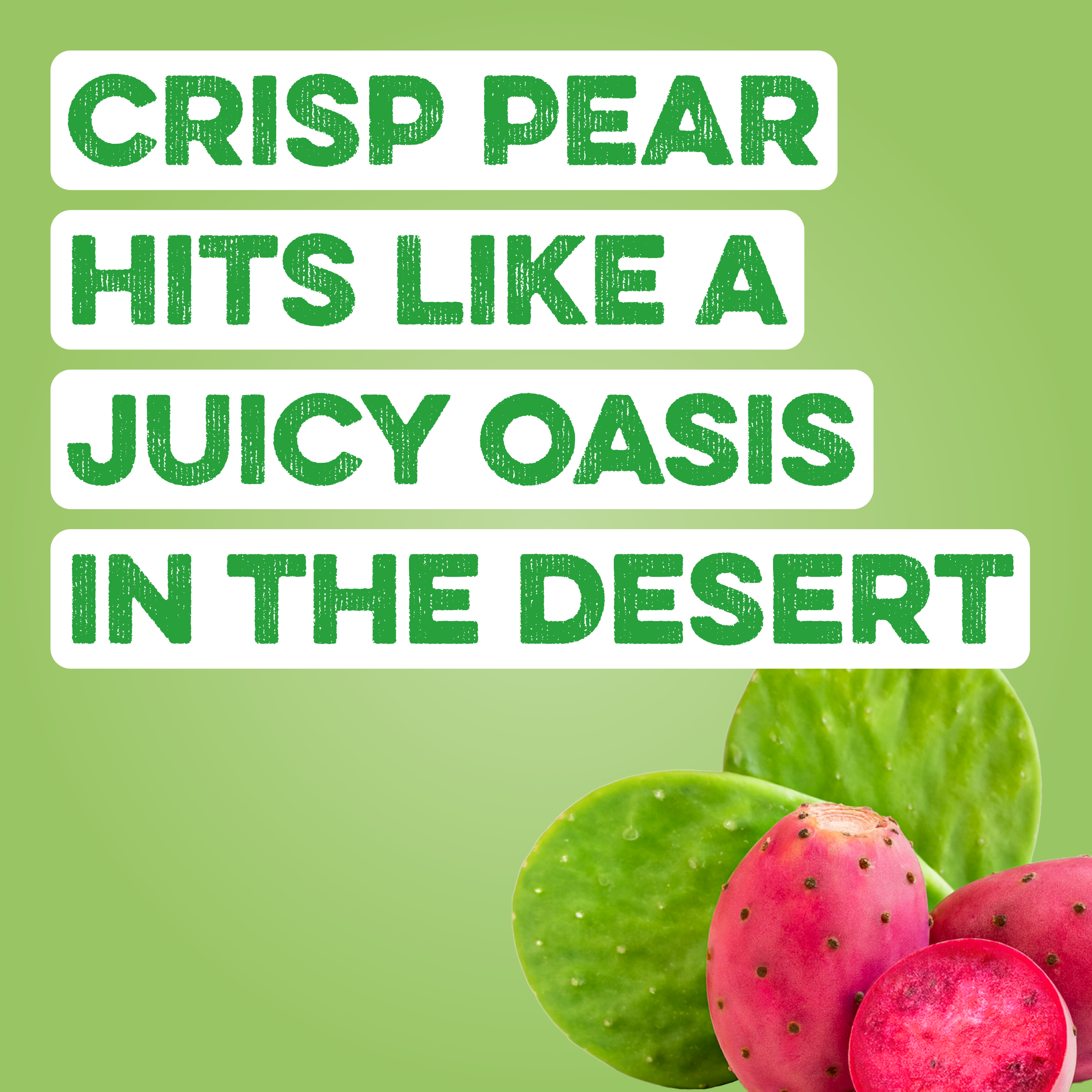 cleansimpleeats Clear Protein Water: Prickly Pear (12 Oz. | 12 Pack)