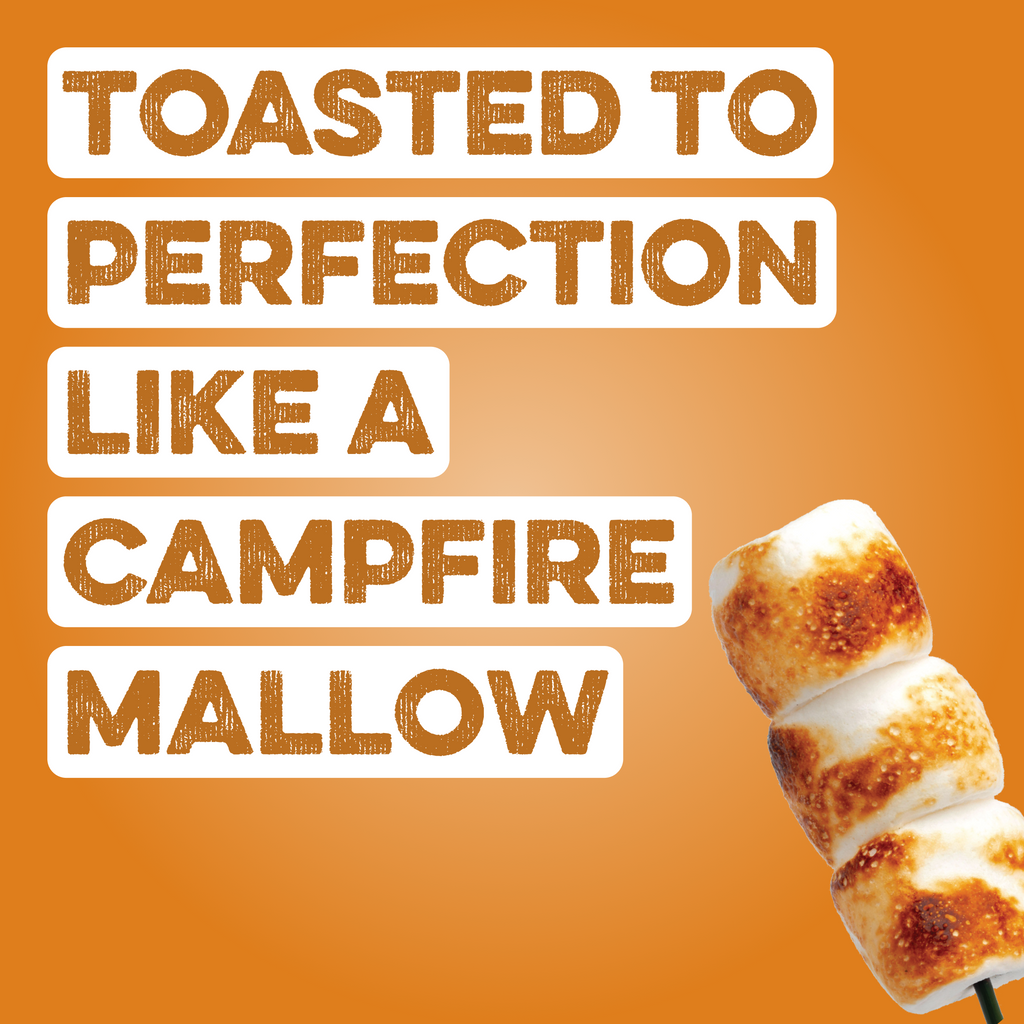 cleansimpleeats Protein Powder: Toasted Marshmallow (20 Serving Bag)