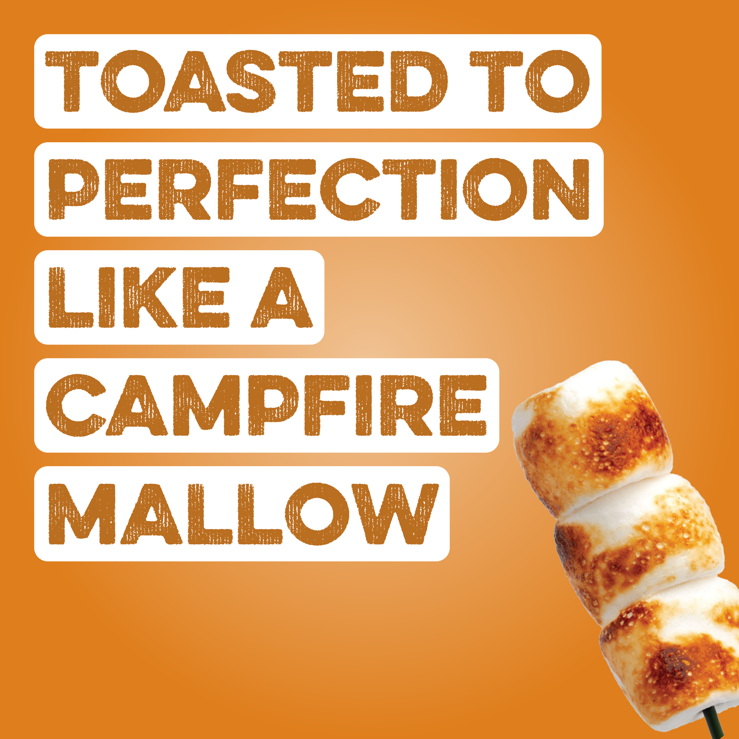 cleansimpleeats Protein Powder: Toasted Marshmallow (20 Serving Bag)