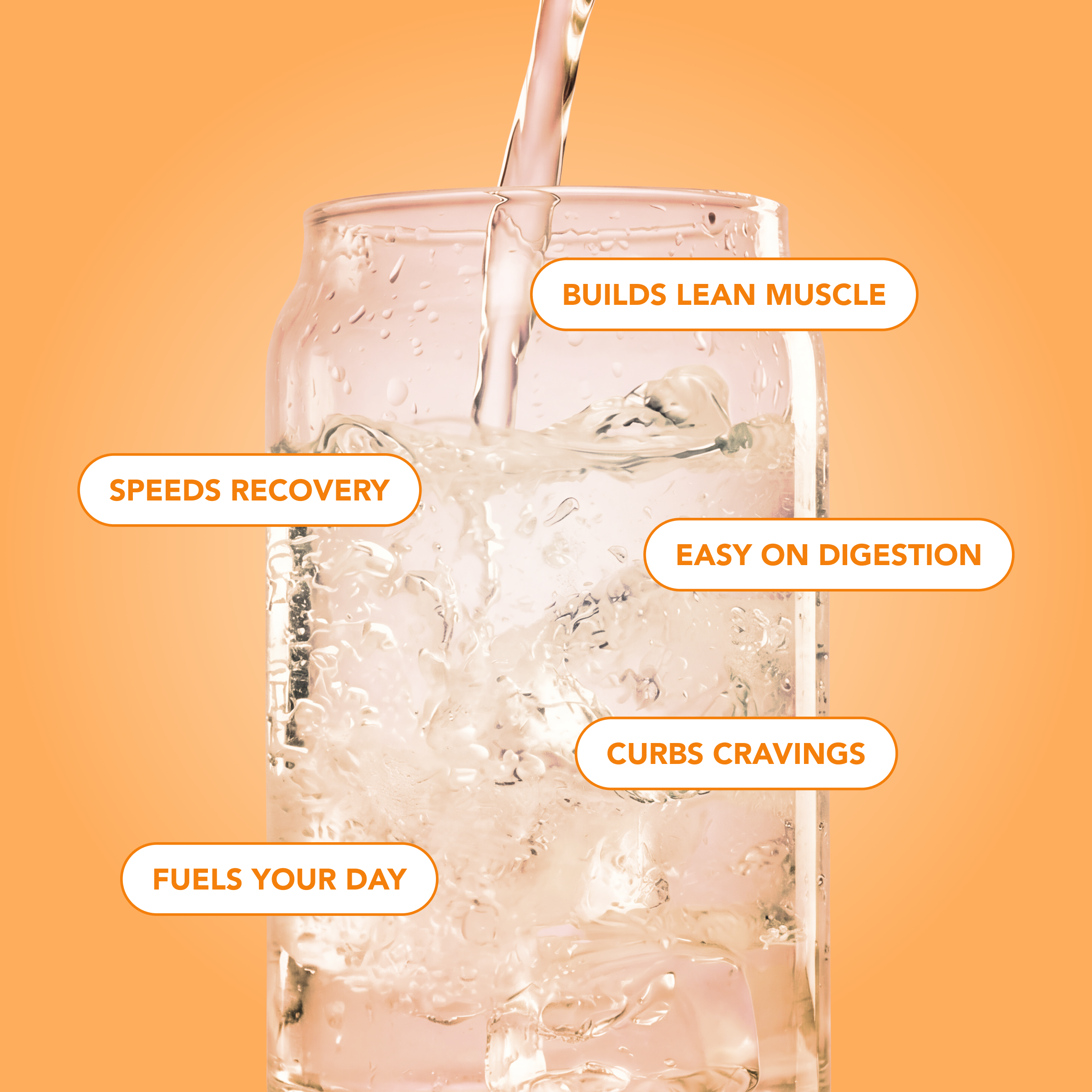 cleansimpleeats Clear Protein Water: Tropical Orange (12 Oz. | 12 Pack)